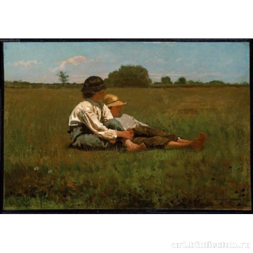 Мальчики на пастбище