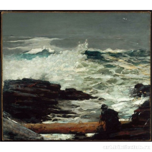 Дерево, прибитое к берегу