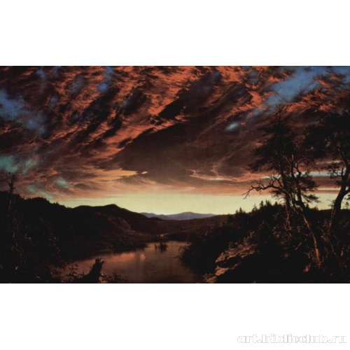 Сумерки в чаще леса