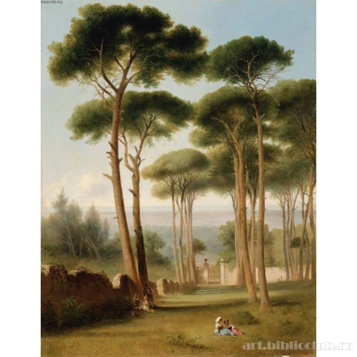 Сосны у виллы Барберини