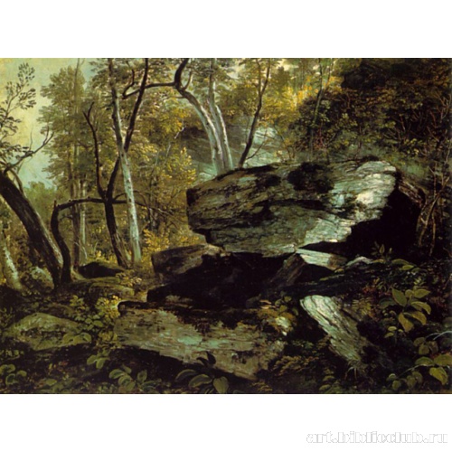 Набросок с натуры: скалы и деревья