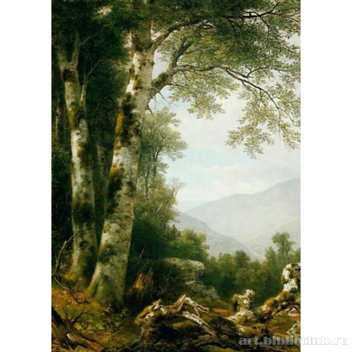 Пейзаж с березами