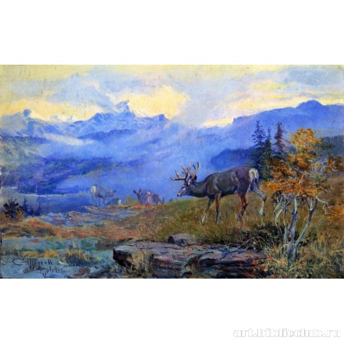 Олени, вглядывающиеся вдаль