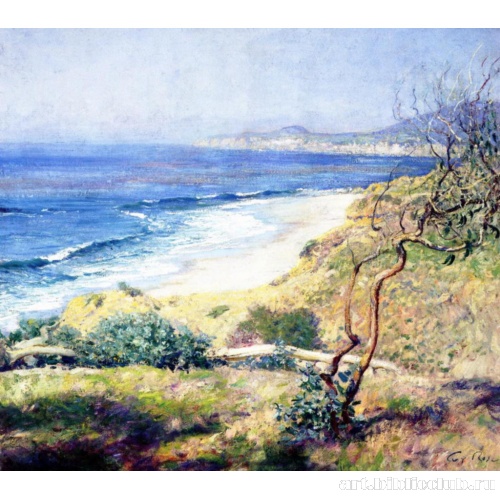 Побережье лагуны