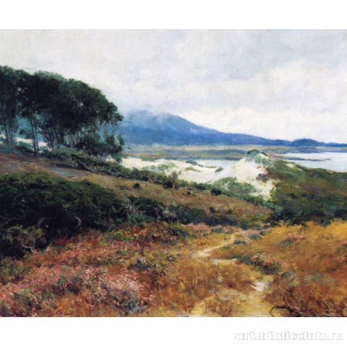 Маки в Калифорнии