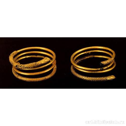 Два многоспиральных украшения для волос