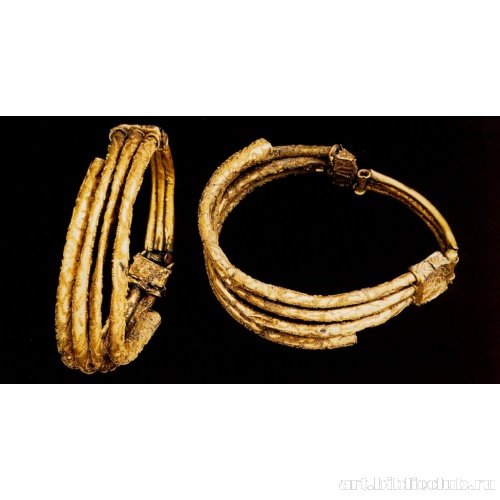 Два спиралевидных браслета