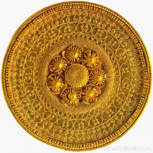 Дисковидная бляшка