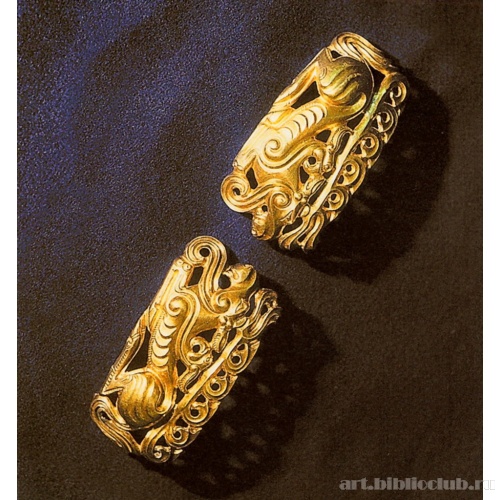 Нашивные бляхи