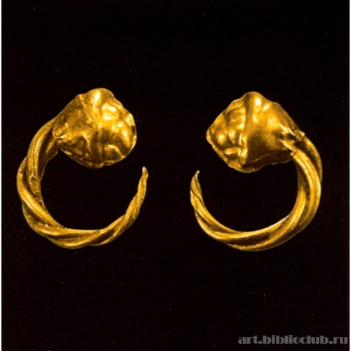 Пара крученых серег с головой льва на конце