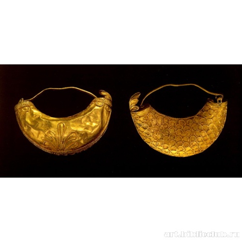 Пара пиявкообразных серег