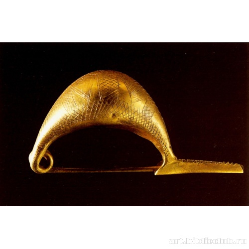 Пиявкообразная фибула