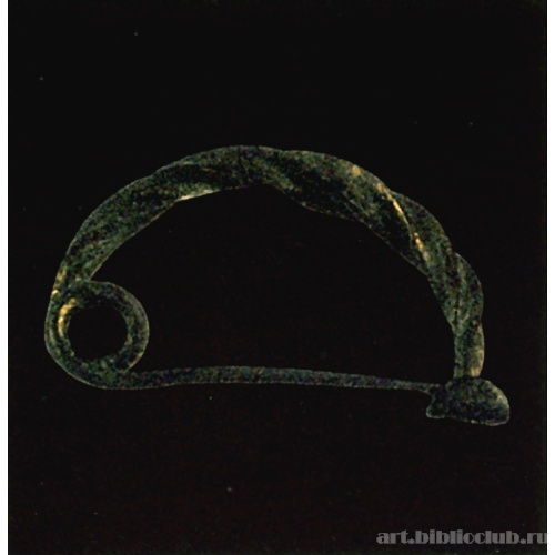 Фибула с дужкой в виде скрученной веревки