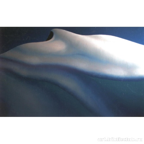 Алтай. Вершина Г птица