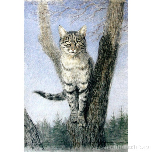 В единстве с природой