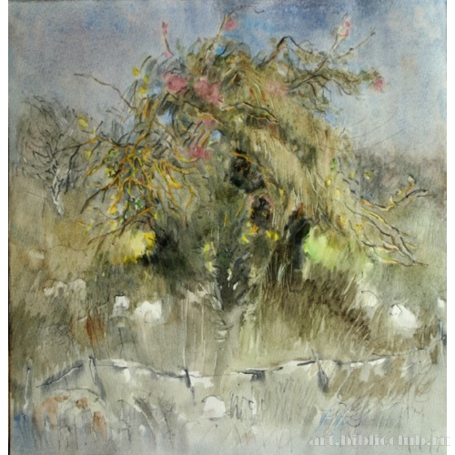 Киббуц Ифтах. Куст 1