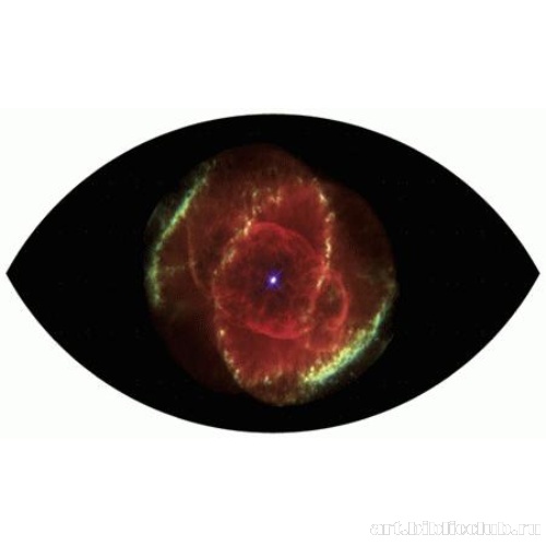 Cosmoscopia in action 3