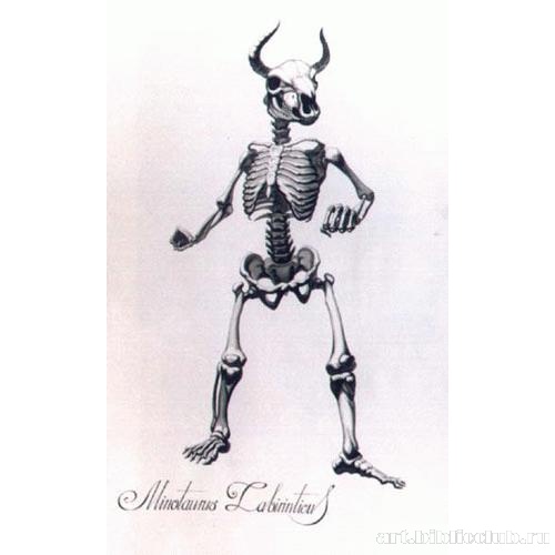 Минотавр Лабиринтовый