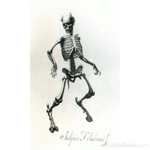 Сатир Похотливый