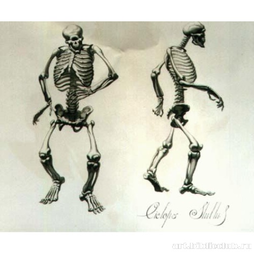 Циклоп Тупой