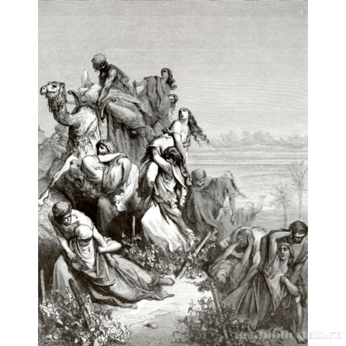 Похищение девиц в Силоме