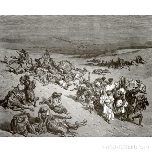 Моровая язва