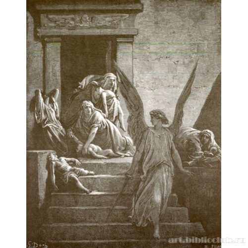 Поражение первенцев