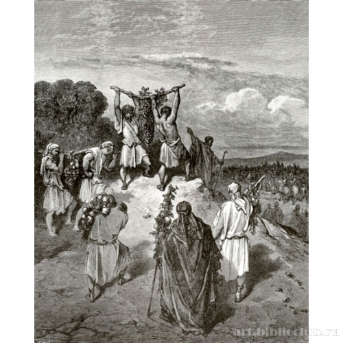 Возвращение соглядатаев из Ханаана