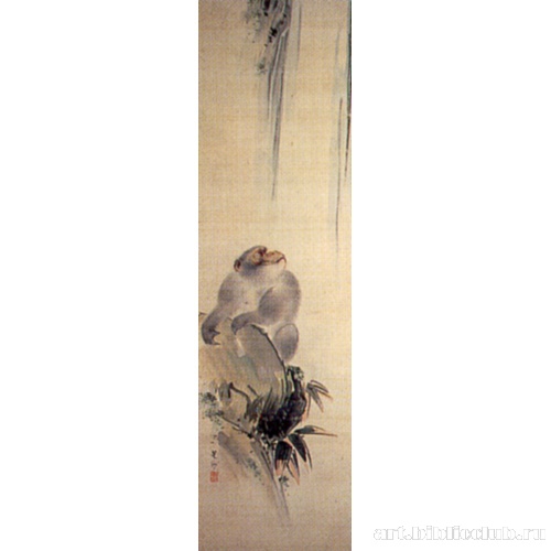 Обезьяна, любующаяся водопадом