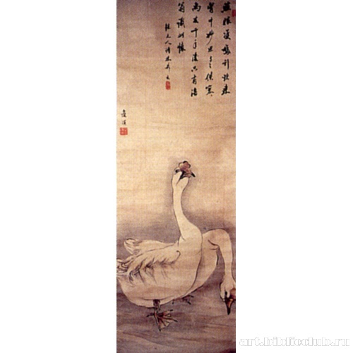 Водяные птицы