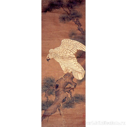 Белый ястреб