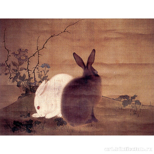 Дикие кролики