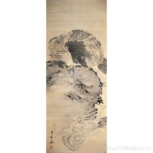 Ястреб на утесе