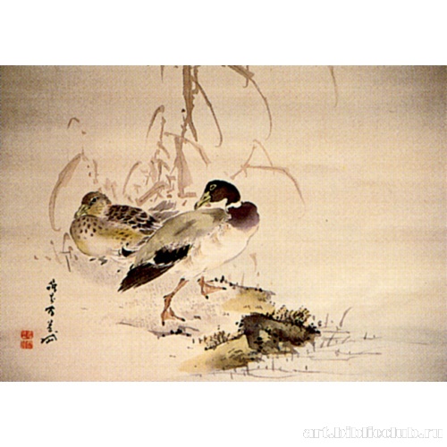 Утки у берега