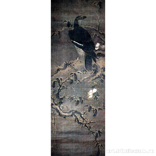 Ястреб на снегу