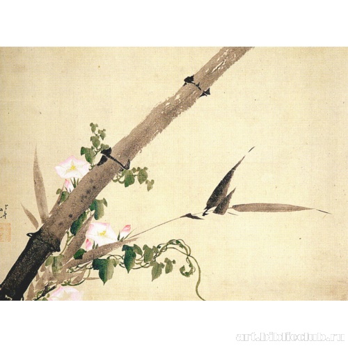 Вьюнок на бамбуке