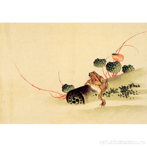 Лягушка и камнеломка