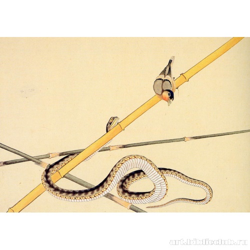 Змея и птичка