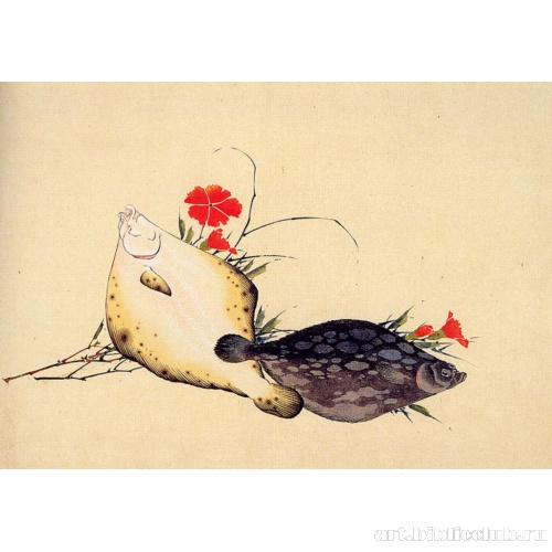 Камбалы и гвоздика