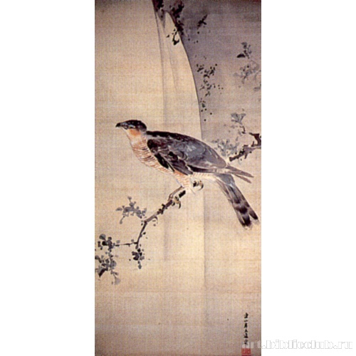 Ястреб у водопада