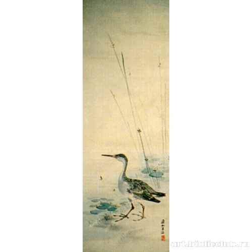 Водяная курочка и лотосы