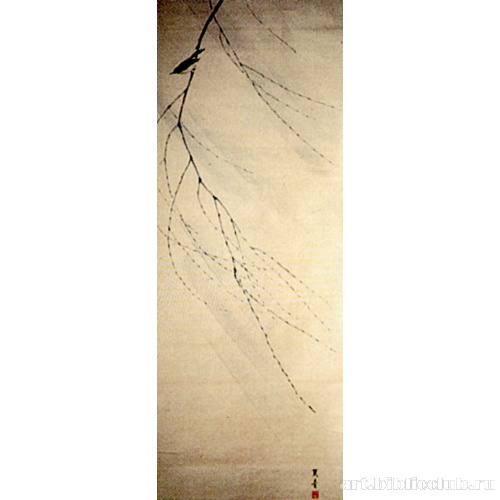 Птица на ветке ивы