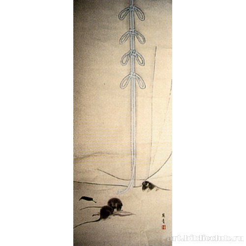 Мыши и сушеная каракатица