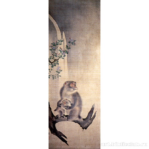 Обезьяны у водопада