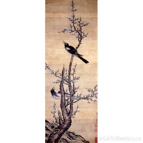 Сороки на цветущей сливе