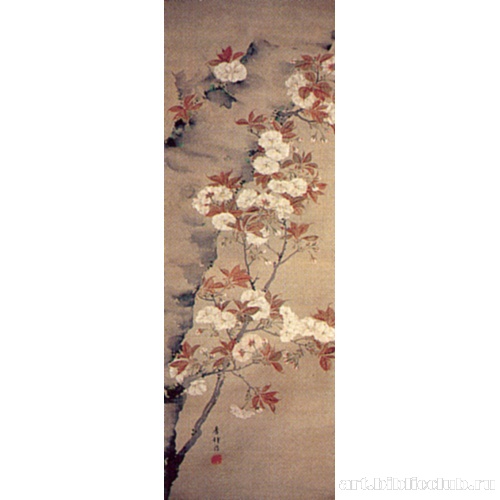 Цветы вишни