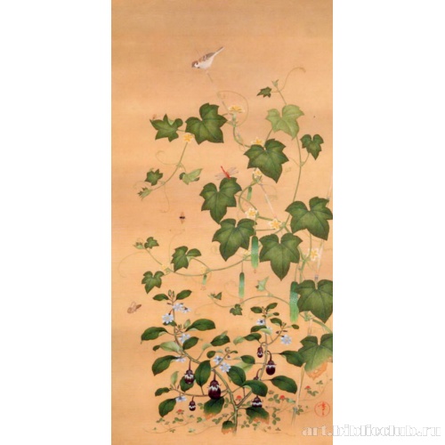 Овощи и насекомые