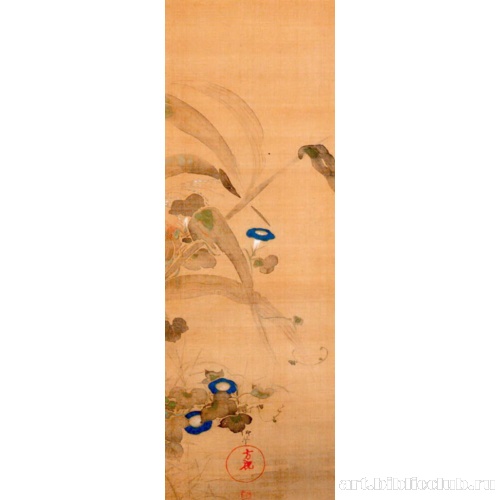 Кукуруза и Вьюнок