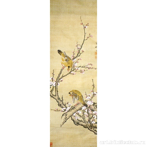 Птицы и цветы сливы