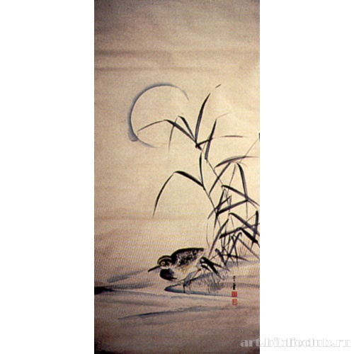 Водяная курочка в тростниках